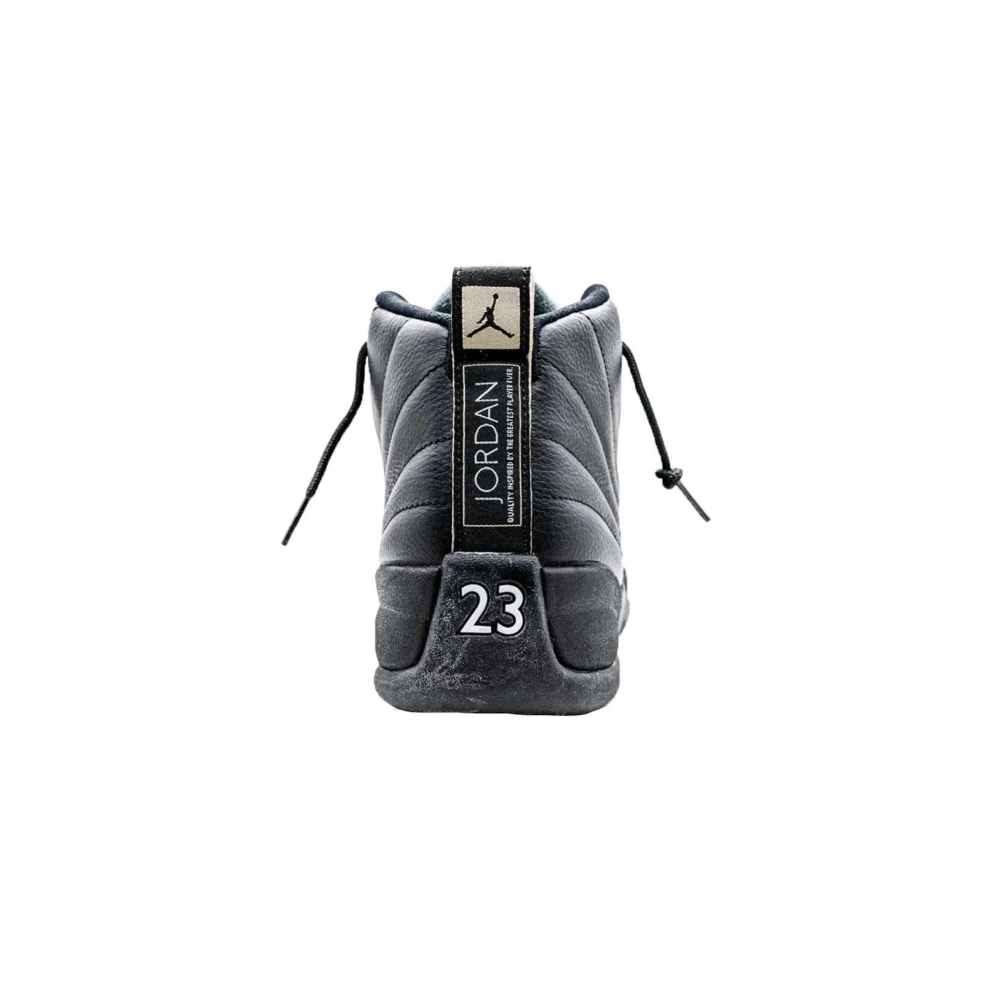 Air Jordan 12, The Master