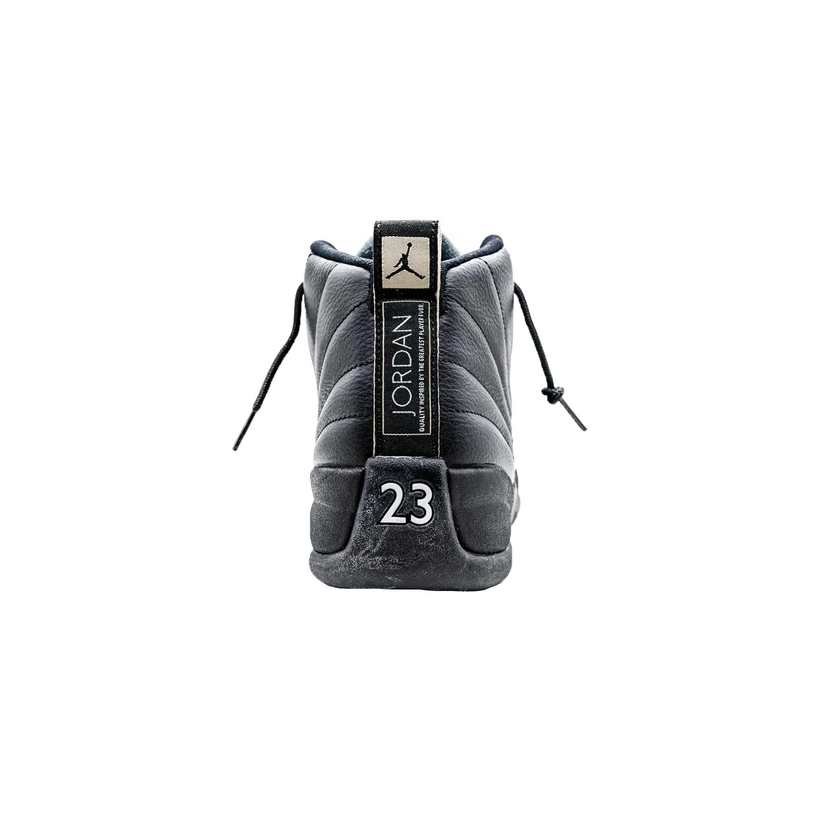 Air Jordan 12, The Master