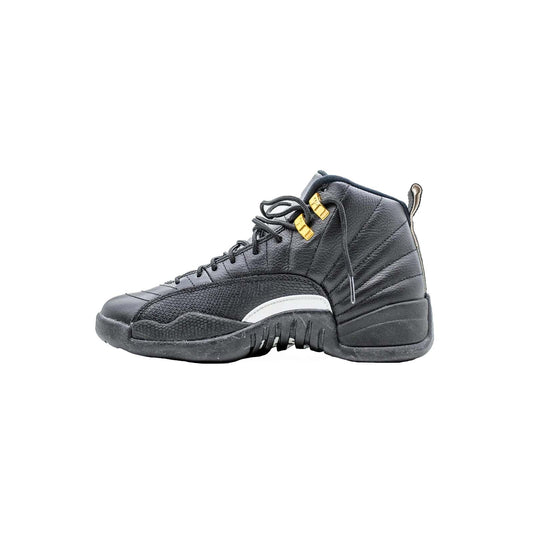 Air Jordan 12, The Master hover image