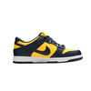 nike sb maple leaf on foot care shoes for women