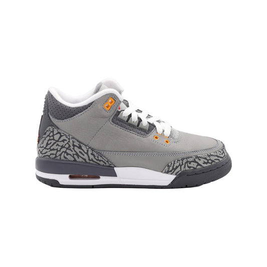 Air Court Jordan 3 (GS), Cool Grey (2021)