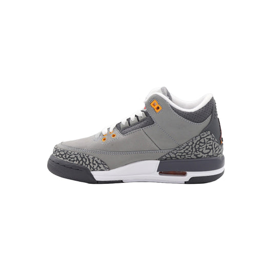 Air Jordan 3 (GS), Cool Grey (2021) hover image