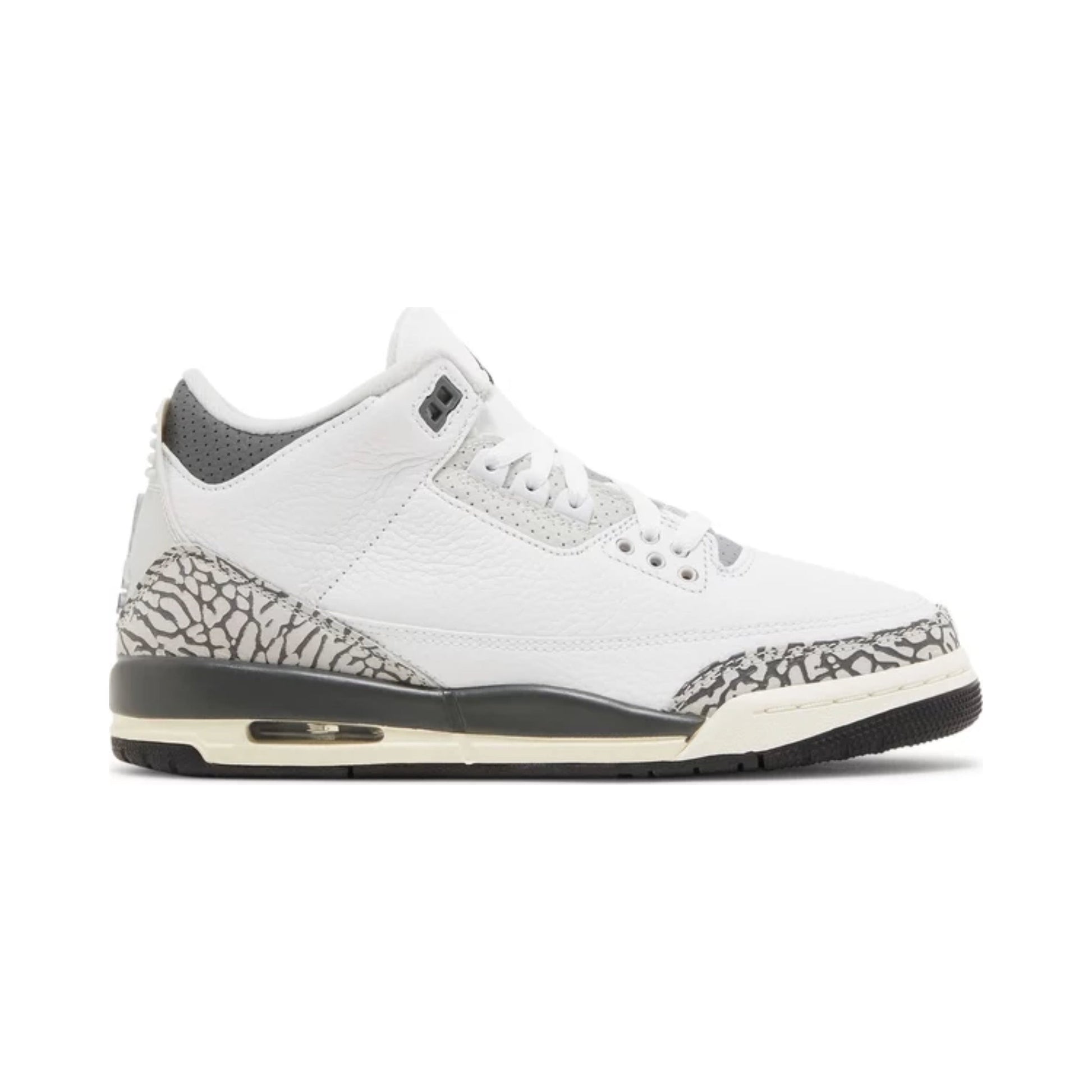 Air Jordan 3 (GS), Hide N' Sneak